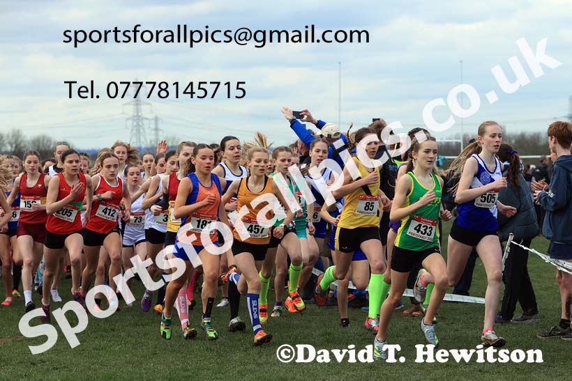 Junior Girls 2024 English Schools Cross Country Champs., Pontefract, March 16th.  Photo: David T. Hewitson/Sports for All Pics